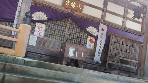 20190918114117_IMG_3942