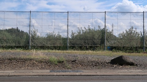 20200920133215_IMG_8046