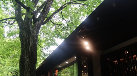 20220501140956_IMG_3785