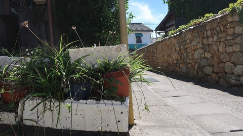 20220702152456_IMG_4865