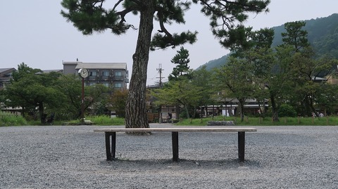 20200808112335_IMG_7104