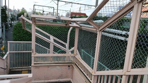 20190727172429_IMG_3126