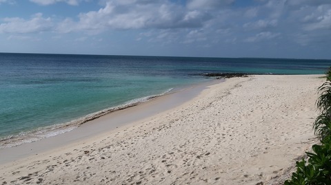 20221120144812_IMG_6915