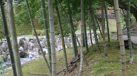 20210919113716_IMG_2121