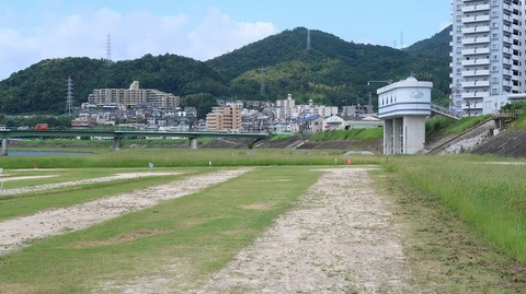 20190816105601_IMG_3323