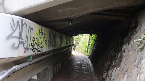 20200921103622_IMG_8089