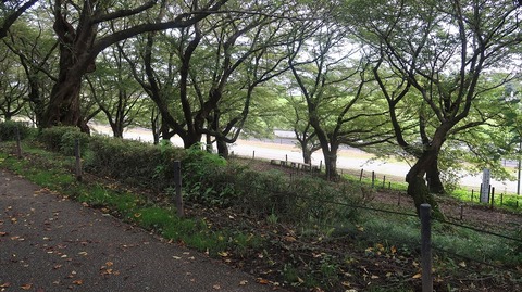 20200801164240_IMG_6925