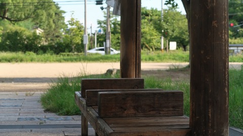 20220811171950_IMG_5565