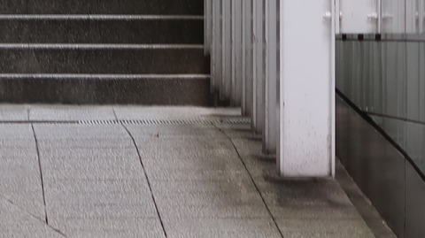 20190720155714_IMG_3061