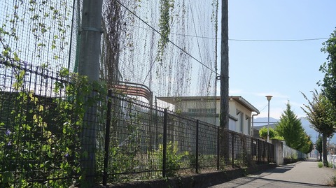 20231007105653_IMG_9588