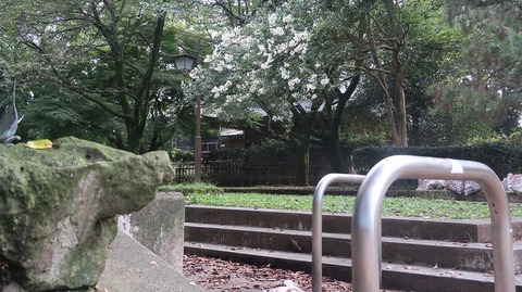 20200912145332_IMG_7667