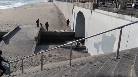 20190309161213_IMG_1183