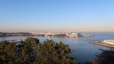 20210206163809_IMG_0257