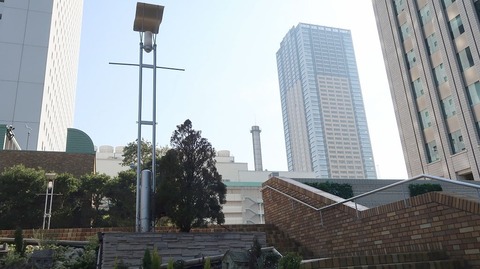 20210213115203_IMG_0392