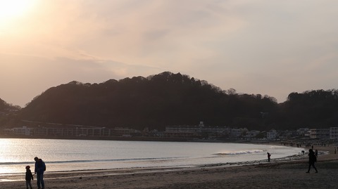 20190223162744_IMG_1091