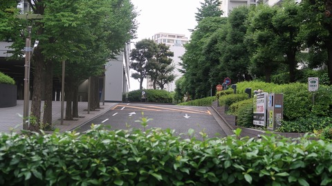 20230610174444_IMG_8515