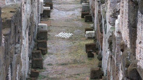 20230702013149_IMG_8582