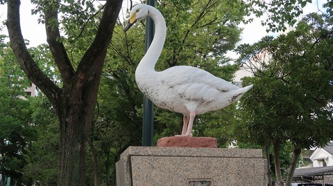 20200810165650_IMG_7308