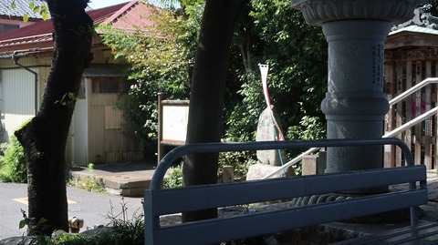 20231007113707_IMG_9616