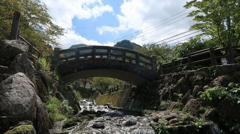 20210919113353_IMG_2119