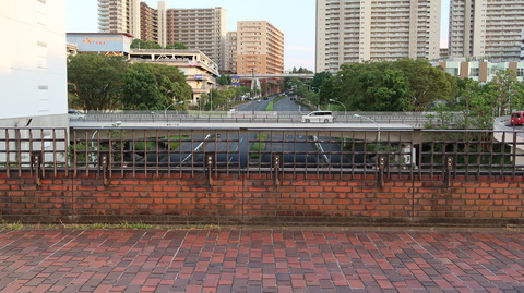 20190810174016_IMG_3212