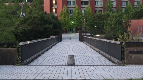 20200912183308_IMG_7707