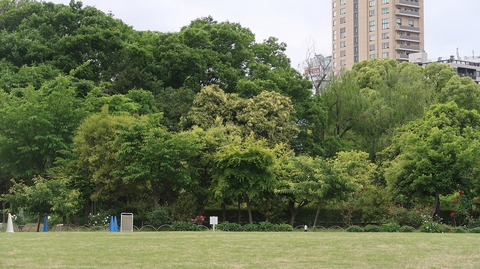 20220508180746_IMG_4224