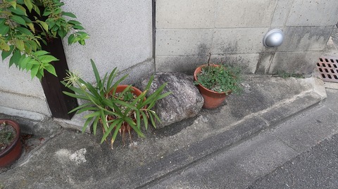 20220812161652_IMG_5747