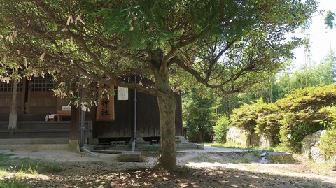 20220701142615_IMG_4742