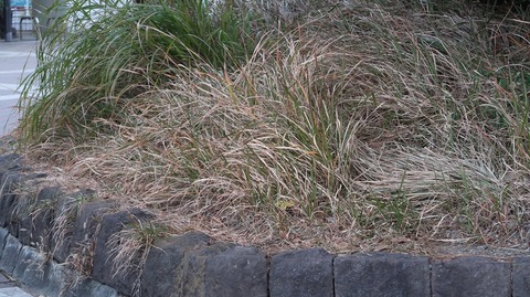 20211205165006_IMG_2405