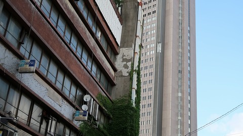 20190727163940_IMG_3108