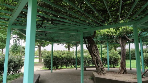 20220812135917_IMG_5685