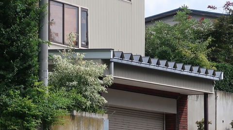 20200920121723_IMG_7975