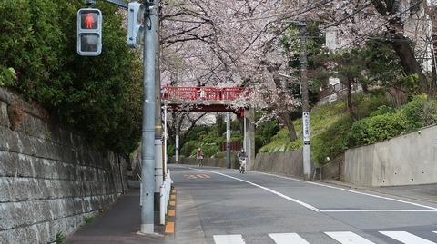 20200327142728_IMG_6373