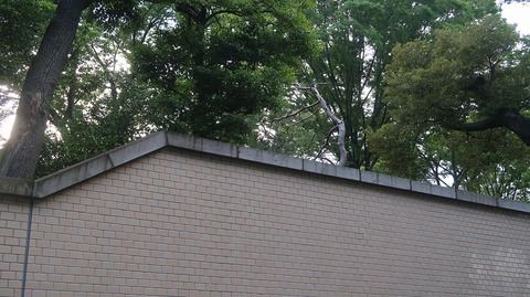 20220625172541_IMG_4639