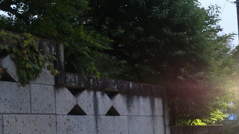 20220515192737_IMG_4327