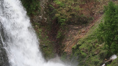 20230506145238_IMG_8191