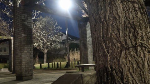 20190321184438_IMG_1211