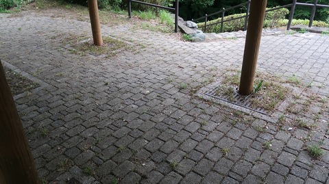 20220611181244_IMG_4636