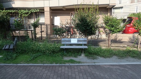 20220827153553_IMG_5868