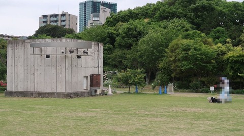 20220508173748_IMG_4194