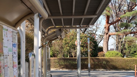 20190413152836_IMG_1907