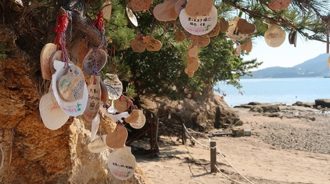 20220701162655_IMG_4777