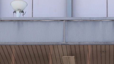 20200810141729_IMG_7240