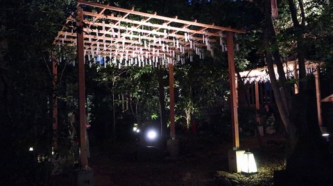 20190710191655_IMG_2783