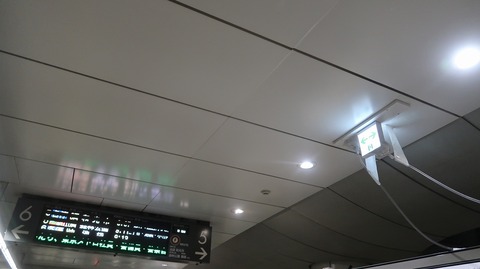 20231001091000_IMG_9476