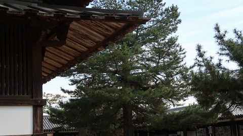 20210103133129_IMG_9846