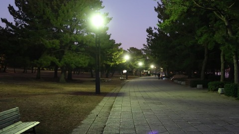 20210206175819_IMG_0292