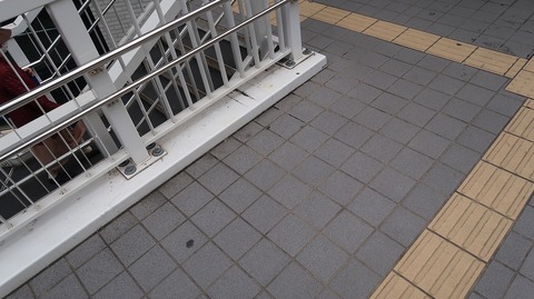 20231029111952_IMG_0296