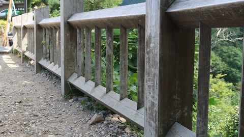 20190918131854_IMG_3972